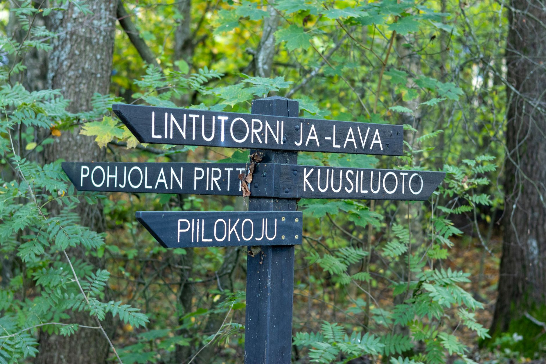 Fińskie wyspy i archipelagi: gdzie znaleźć najspokojniejsze miejsca nad Bałtykiem