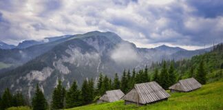 Noclegi w Polsce z klimatem: agroturystyka, leśne domki i chaty na końcu świata