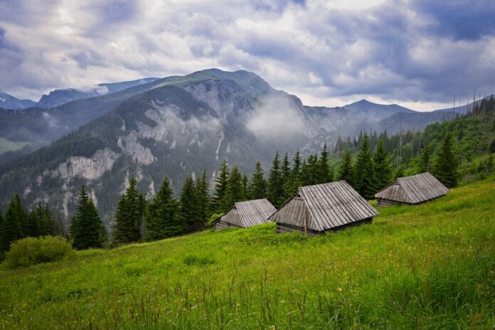 Noclegi w Polsce z klimatem: agroturystyka, leśne domki i chaty na końcu świata Noclegi w Polsce z klimatem: agroturystyka, leśne domki i chaty na końcu świata